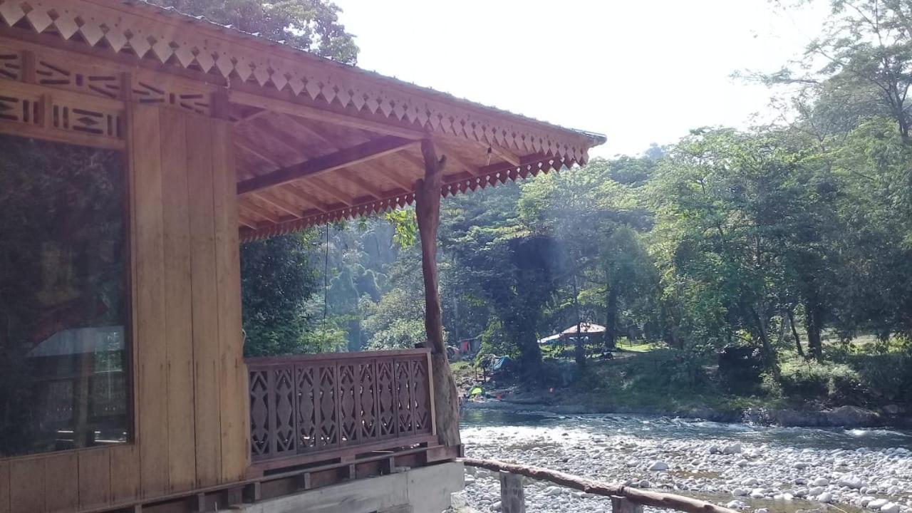 Rambai Tree Jungle Lodges Bukit Lawang Esterno foto