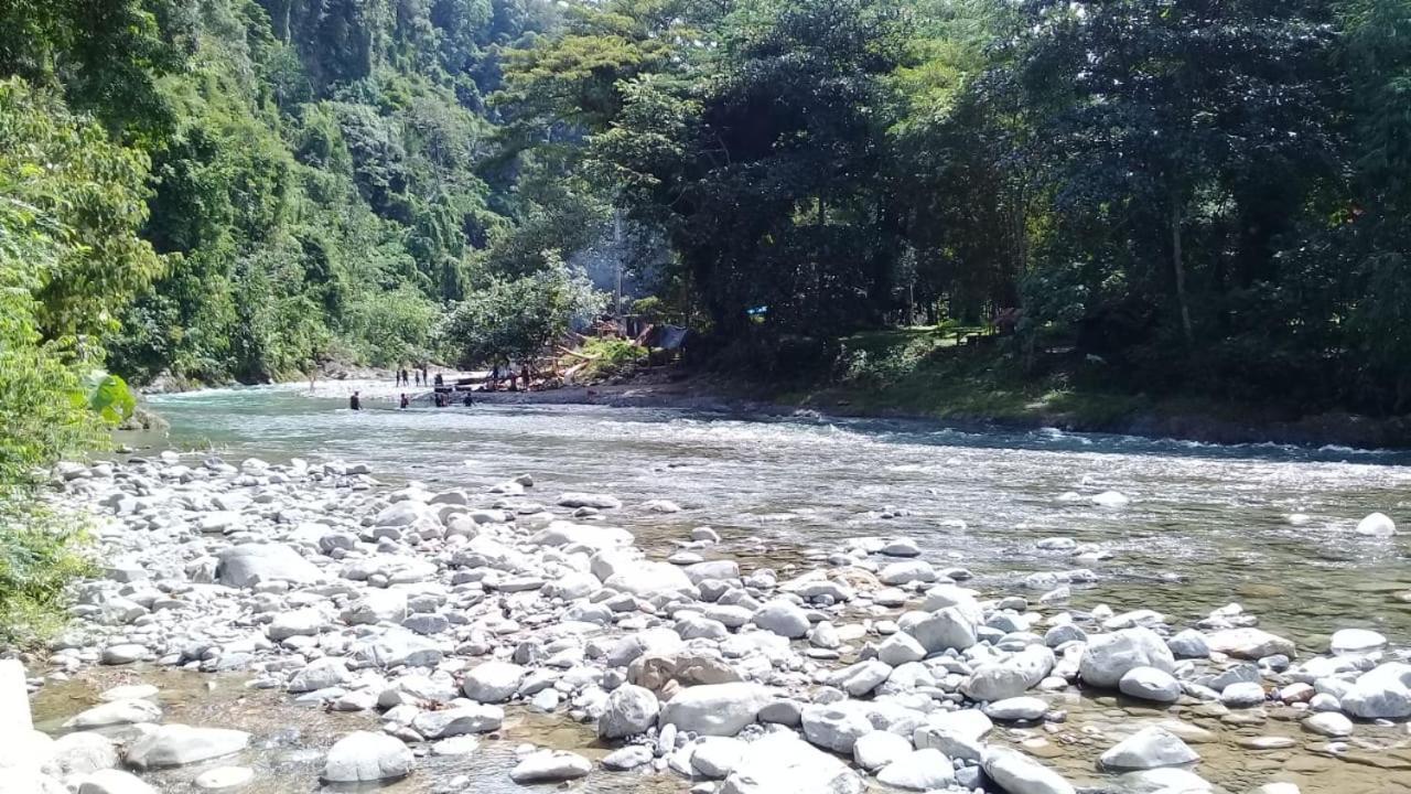 Rambai Tree Jungle Lodges Bukit Lawang Esterno foto
